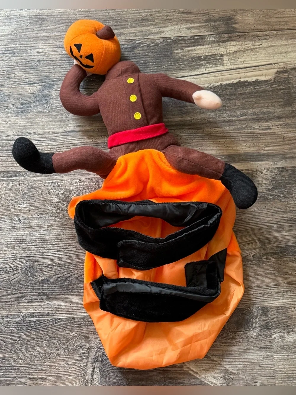 Pumpkin headless horseman orange brown Halloween dog costume size L/XL